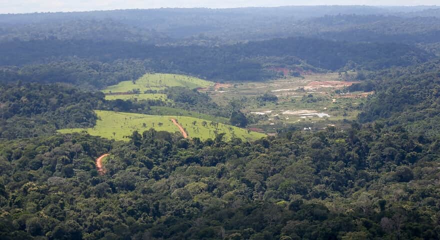 STF começa a julgar omissão da União na paralisação do Fundo Amazônia